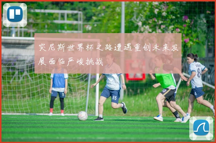 突尼斯世界杯之路遭遇重创未来发展面临严峻挑战