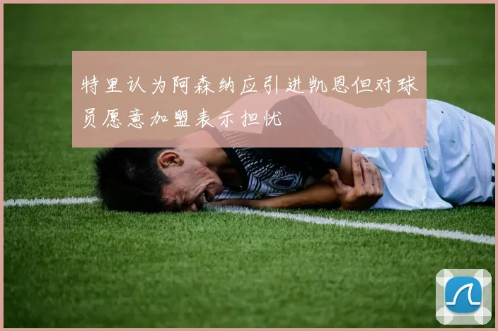 特里认为阿森纳应引进凯恩但对球员愿意加盟表示担忧