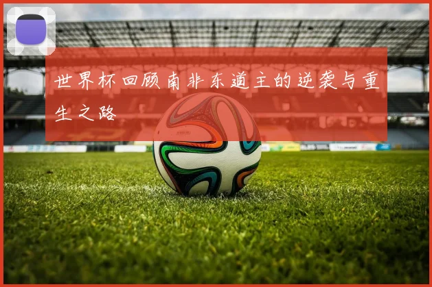 世界杯回顾南非东道主的逆袭与重生之路